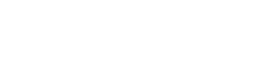 I.T.Mars